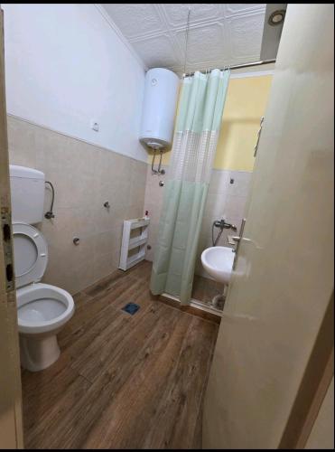 a bathroom with a toilet and a sink at Apartment Đina in Plužine