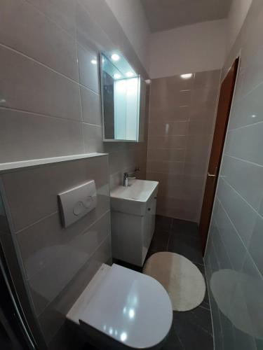 a bathroom with a white toilet and a mirror at Apartments Nela in Jelsa
