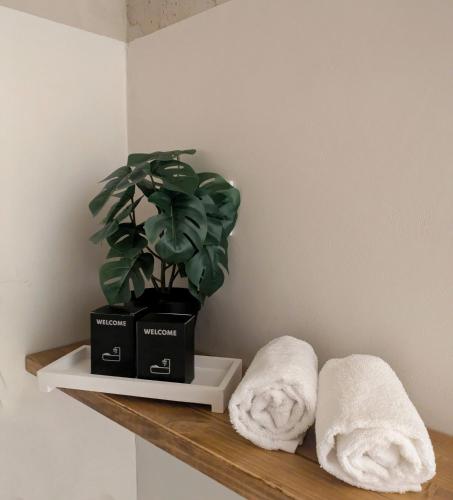 une étagère avec des serviettes et une plante en pot dessus dans l'établissement Casa Valle - Lago di Garda, à Brenzone