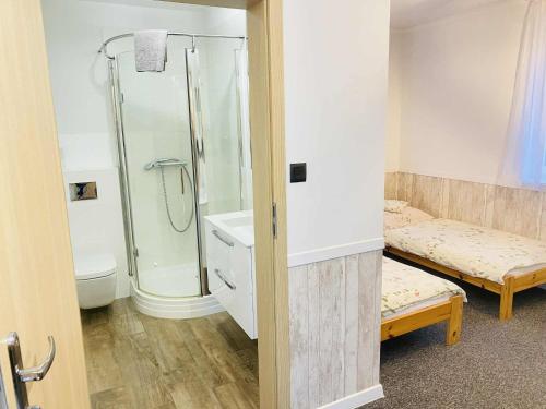 a bathroom with a shower and a toilet at M&M Marzeniowo in Chlebowo