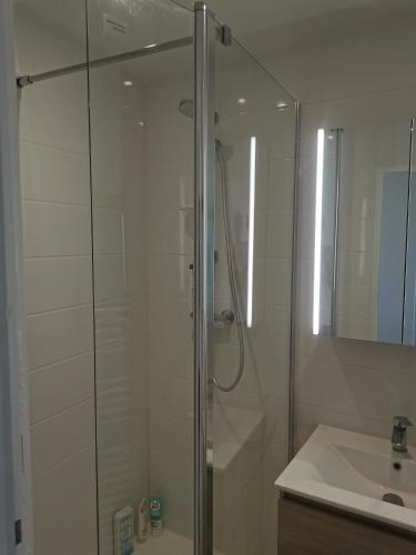 un bagno con doccia in vetro e lavandino di Sur le port a Les Sables-dʼOlonne