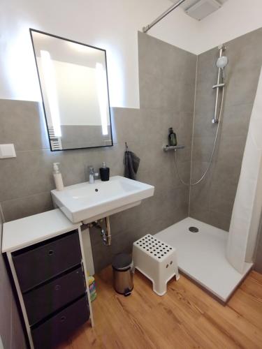 a bathroom with a sink and a shower at Frisch saniertes Apartment am Falderapark in Neumünster