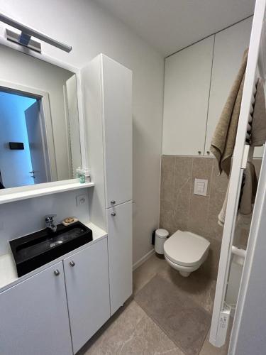 a white bathroom with a toilet and a sink at L'Agolum - B&B Baisy-Thy in Genappe