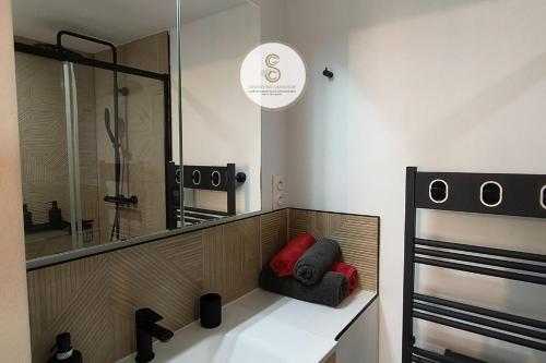 Stalingrad Arles Centre في آرل: حمام مزود بحوض غسيل ومرآة ودش
