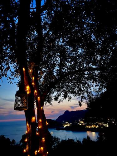 a tree with christmas lights on it at night at Private villa Pyrgos - Heated Pool & Sea View - Walking distance from beaches & Liapades in Liapades