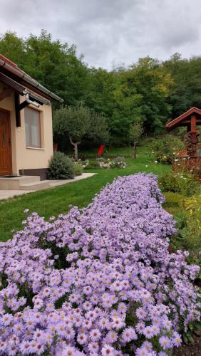 a pile of purple flowers in a yard at Faluvégi Vendégház in Cserépváralja