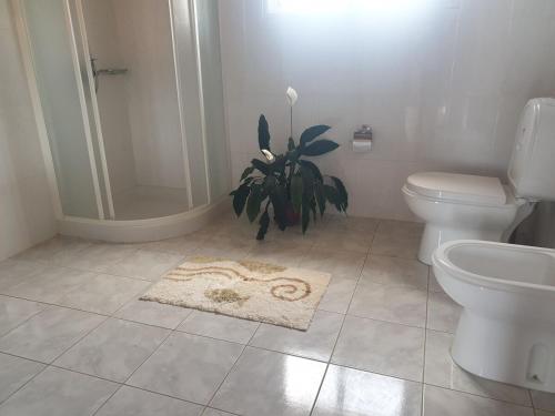 a bathroom with a toilet and a plant in the shower at Farol Golfe in Ponta do Pargo