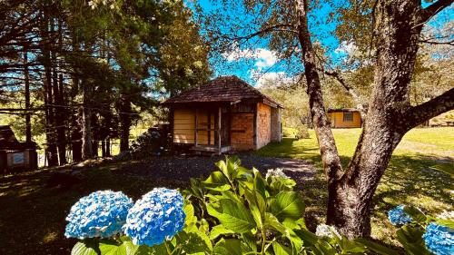 a small cabin in the middle of a yard with blue flowers at Estalagem Santo Antônio in Urubici