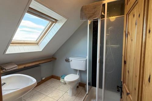 a bathroom with a toilet and a sink and a window at Skellig Cottage - Portmagee in Lateeve
