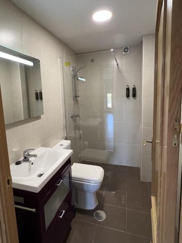 a bathroom with a toilet and a shower and a sink at Almamater salamanca in Salamanca