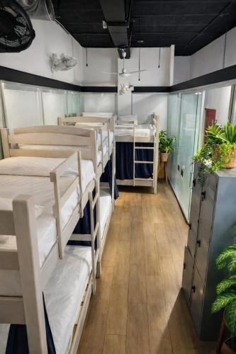 a room with several bunk beds in it at Hostel Auikyani in Cozumel