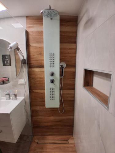 a bathroom with a shower and a sink at Apartment Andreja Bled in Bled