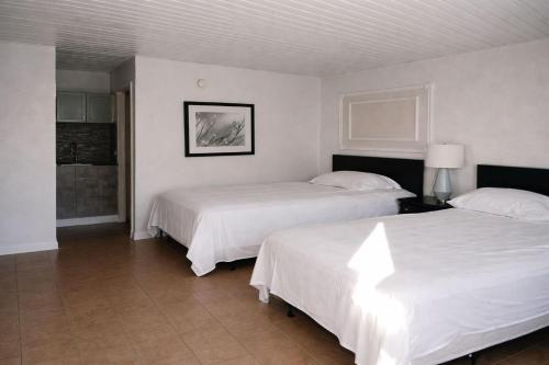 two beds in a hotel room with white sheets at Siesta Motor Inn Kissimmee Near Disney World in Kissimmee