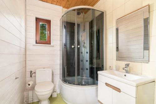 a bathroom with a shower and a toilet and a sink at DAGLEZJA-domy dobrego wypoczynku in Kołczewo