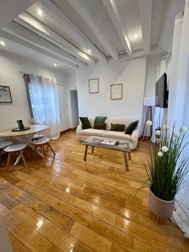 Appartement T2 Lumineux centre ville d'Amboise avec vue sur le Château Royal