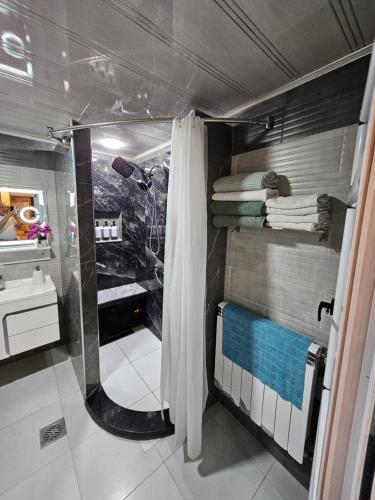 a bathroom with a shower and a shower curtain at Beau F3 in Dar el Beïda