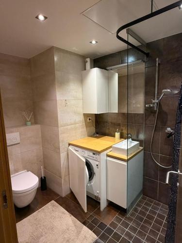 a bathroom with a washing machine and a toilet at Central Aida Apartment in Pärnu