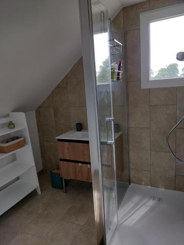 a bathroom with a shower and a sink at Gite des Noës in Lamballe Armor