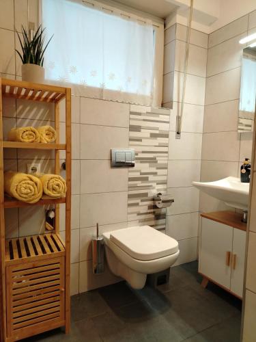 a bathroom with a toilet and a sink at Bergblick 33 in Plaus