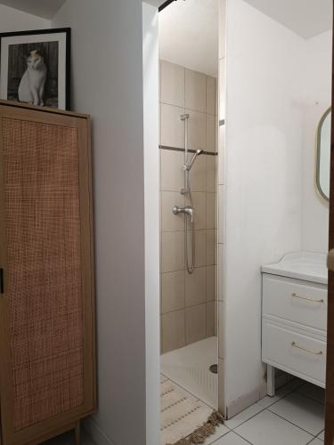 a bathroom with a shower and a toilet and a sink at Location cocooning à Audenge in Audenge