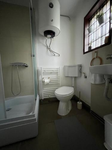 a bathroom with a toilet and a shower and a sink at Kuća za odmor PEPA in Brod Moravice