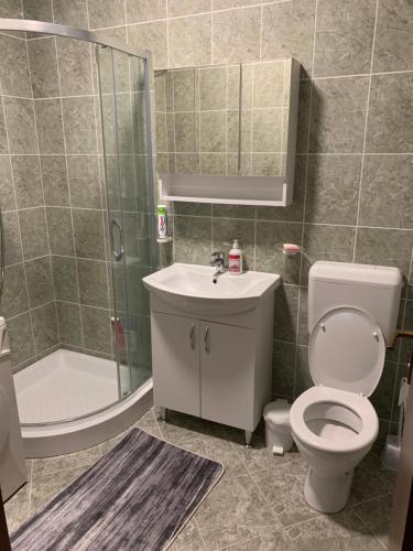 a bathroom with a toilet and a sink and a shower at Vila Sana in Landeke