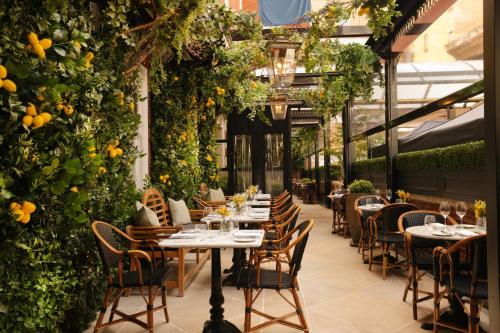 The Bloomsbury Hotel photo 79