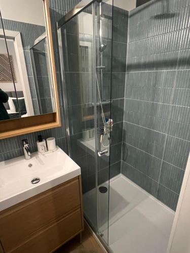 a bathroom with a shower and a sink at Secret Garden 2 in Mellehoek