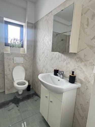 a bathroom with a white sink and a toilet at Otopeni Studio C2 3 Airport Therme in Otopeni