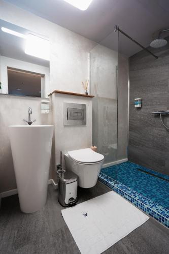 ein Badezimmer mit Dusche mit Toilette und Glasdusche in der Unterkunft Alter Ego in Valea Drăganului