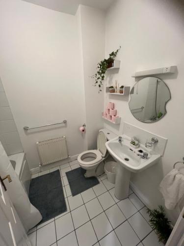 a bathroom with a toilet and a sink and a mirror at Kildare cozy home in Kildare