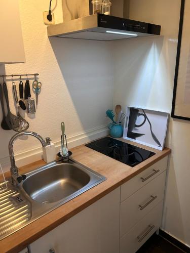a small kitchen with a sink and a counter at Gemütlichkeit im Grünen in Warendorf
