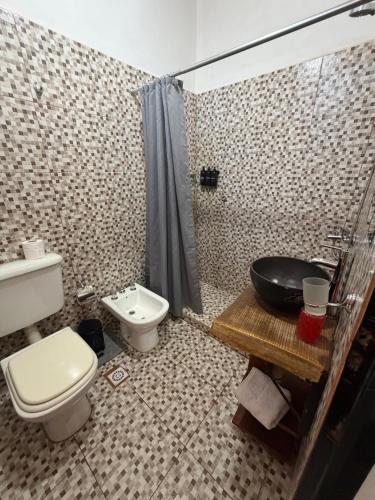a bathroom with a toilet and a sink and a shower at Posada Solar de las Piedras in Fiambalá