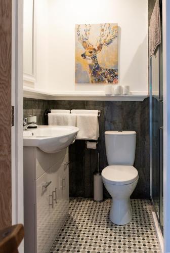 a bathroom with a toilet and a sink at Kylemore house boutique apartments - Diamond Lounge in Kylemore
