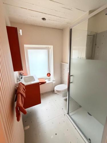 a bathroom with a toilet and a sink and a shower at Appartement 2 chambres in Messancy