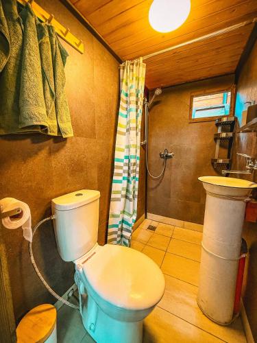 a bathroom with a toilet and a sink at Бунгало Борче in Burgas