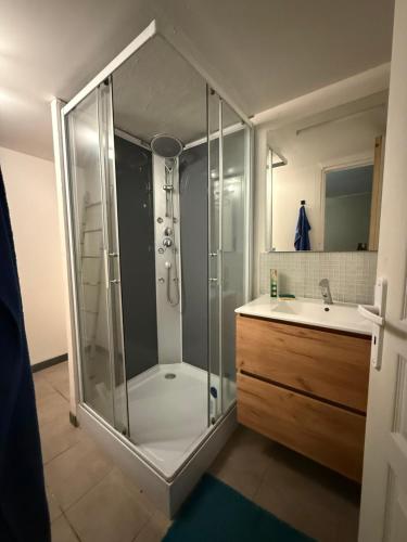 a bathroom with a shower and a sink at u limone in Porticcio