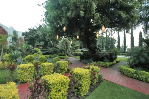 a garden with a bunch of bushes and trees at Villa Bejar Cuernavaca in Cuernavaca