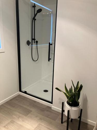 a shower with a glass door and a potted plant at Cozy, Modern, Quiet House in Westport