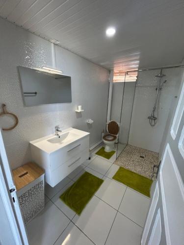 a white bathroom with a sink and a toilet at Le Papillon in Le Moule