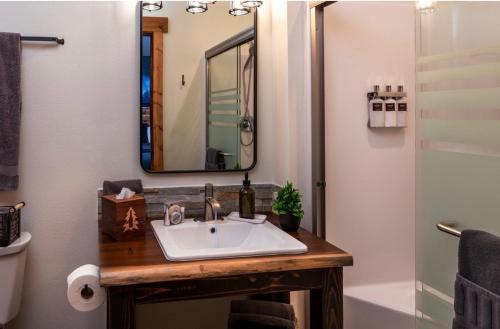a bathroom with a sink and a mirror and a shower at Backwoods Cabins in Carson