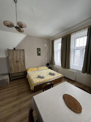 a small room with a bed and a table with a table sidx sidx at Ubytování Na Kovárně in Smržovka