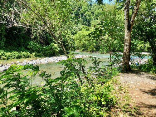 unique suites at los corales area long term vacation