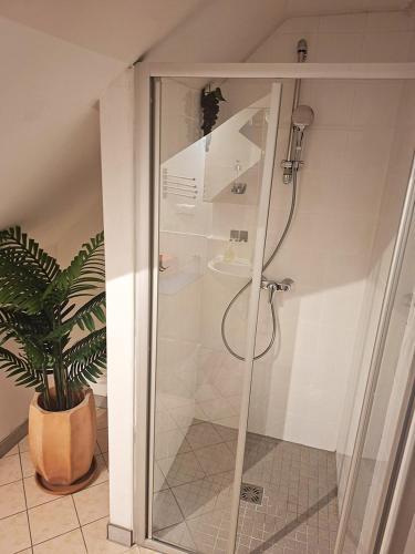 Winery-Appartement