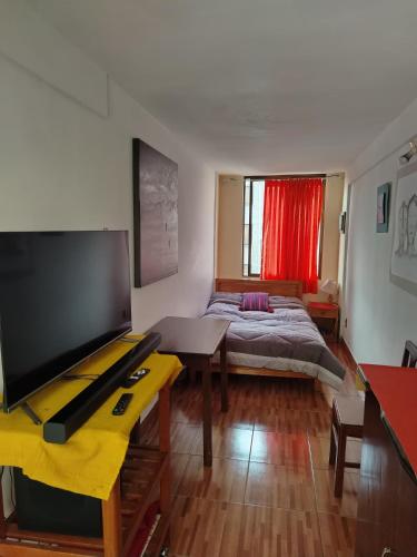 Departamento privado artístico