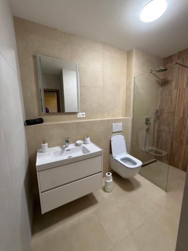 a bathroom with a sink and a toilet and a shower at Apartmán Mia 1 in Liptovský Mikuláš