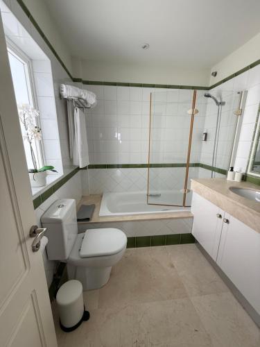 a bathroom with a toilet and a shower and a tub at Mogán suite in Puerto de Mogán