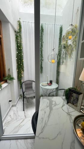 Casa de Cactus