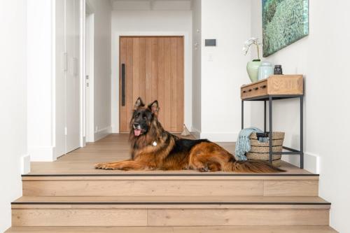 a dog laying on the floor in a hallway at The View, Albany Holiday House in Albany