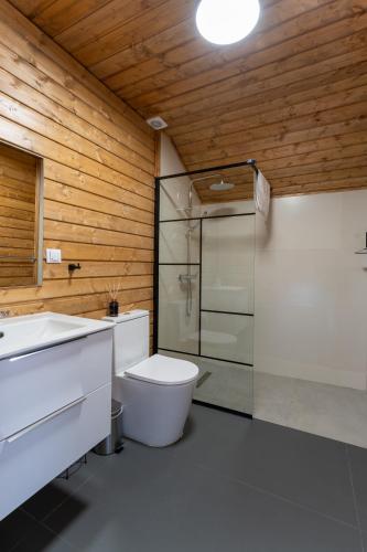a bathroom with a toilet and a glass shower at Cabanele CARMEL in Muntele Rece